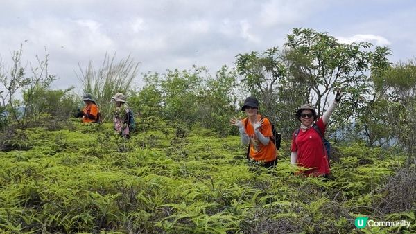 【荔枝窩至烏蛟騰行山篇🚶‍♀️⛰️】攀背頂、老虎石頂、媽騰古道