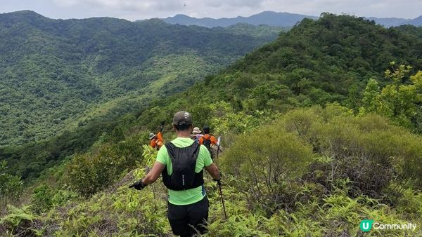 【荔枝窩至烏蛟騰行山篇🚶‍♀️⛰️】攀背頂、老虎石頂、媽騰古道