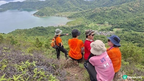 【荔枝窩至烏蛟騰行山篇🚶‍♀️⛰️】攀背頂、老虎石頂、媽騰古道