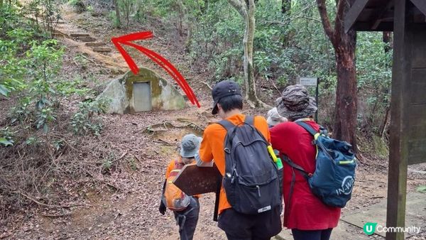 【荔枝窩至烏蛟騰行山篇🚶‍♀️⛰️】攀背頂、老虎石頂、媽騰古道