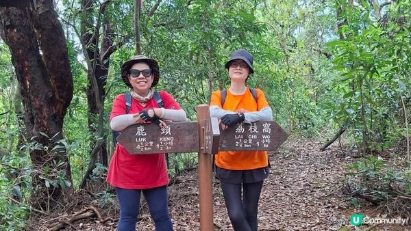【荔枝窩至烏蛟騰行山篇🚶‍♀️⛰️】攀背頂、老虎石頂、媽騰古道