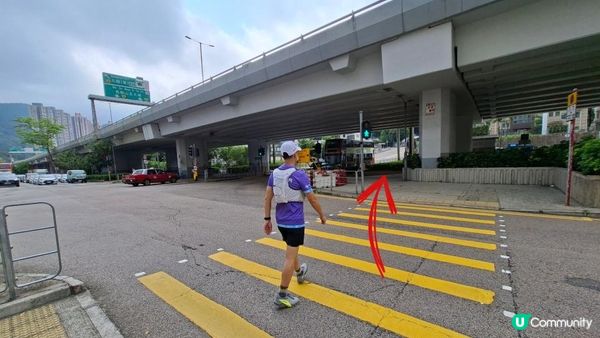 【沙田第一城至黃大仙行山篇🚶‍♀️⛰️】插桅杆石林、多石頂石室、崗背頂
