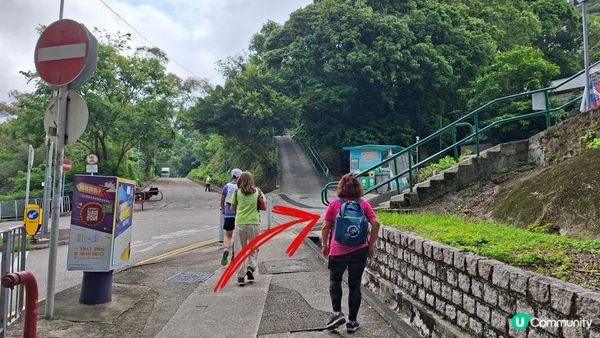 【沙田第一城至黃大仙行山篇🚶‍♀️⛰️】插桅杆石林、多石頂石室、崗背頂