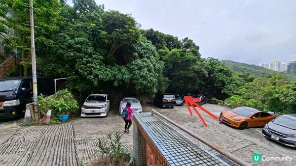 【沙田第一城至黃大仙行山篇🚶‍♀️⛰️】插桅杆石林、多石頂石室、崗背頂