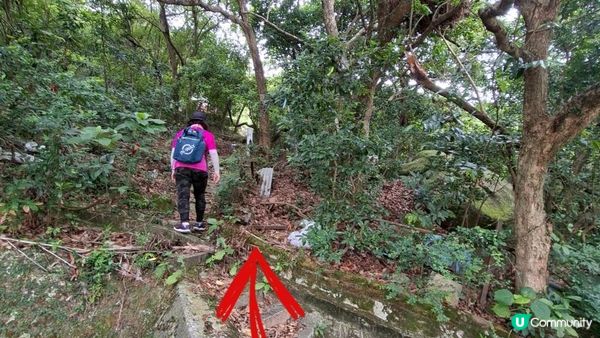 【沙田第一城至黃大仙行山篇🚶‍♀️⛰️】插桅杆石林、多石頂石室、崗背頂