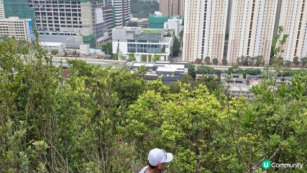 【沙田第一城至黃大仙行山篇🚶‍♀️⛰️】插桅杆石林、多石頂石室、崗背頂