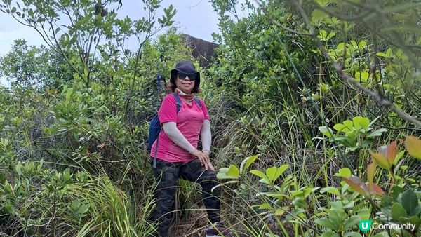 【沙田第一城至黃大仙行山篇🚶‍♀️⛰️】插桅杆石林、多石頂石室、崗背頂