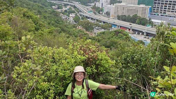 【沙田第一城至黃大仙行山篇🚶‍♀️⛰️】插桅杆石林、多石頂石室、崗背頂