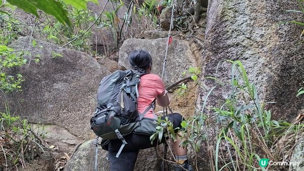 【沙田第一城至黃大仙行山篇🚶‍♀️⛰️】插桅杆石林、多石頂石室、崗背頂