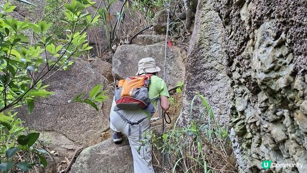 【沙田第一城至黃大仙行山篇🚶‍♀️⛰️】插桅杆石林、多石頂石室、崗背頂