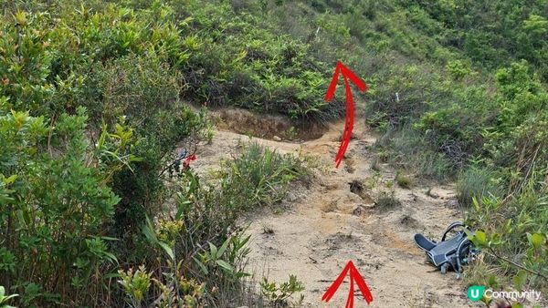 【沙田第一城至黃大仙行山篇🚶‍♀️⛰️】插桅杆石林、多石頂石室、崗背頂