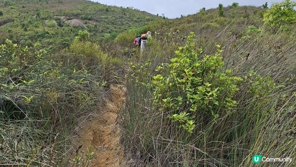 【沙田第一城至黃大仙行山篇🚶‍♀️⛰️】插桅杆石林、多石頂石室、崗背頂