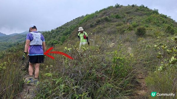 【沙田第一城至黃大仙行山篇🚶‍♀️⛰️】插桅杆石林、多石頂石室、崗背頂