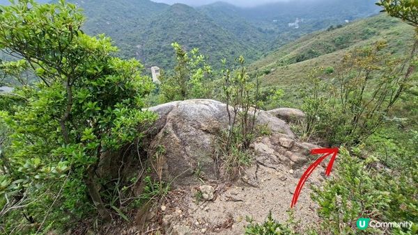 【沙田第一城至黃大仙行山篇🚶‍♀️⛰️】插桅杆石林、多石頂石室、崗背頂