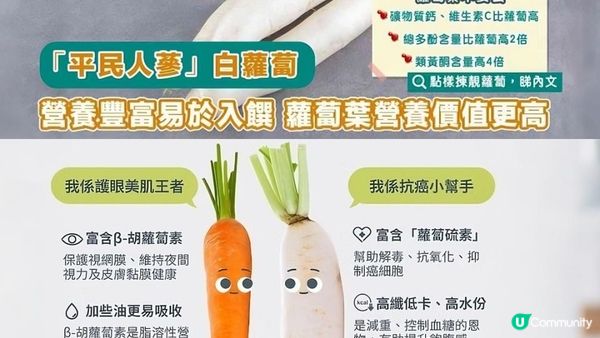#煲湯超甜「白蘿蔔」🥕低GI、降血糖！