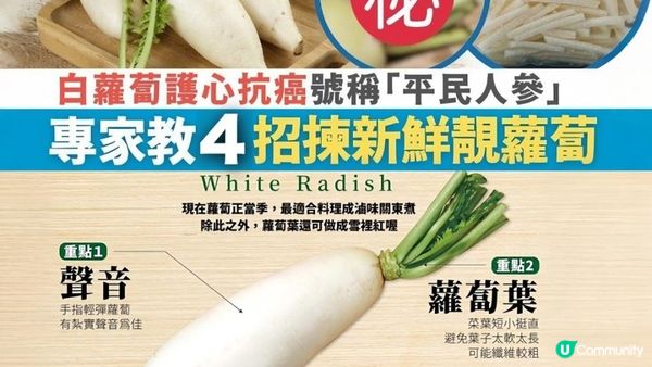 #煲湯超甜「白蘿蔔」🥕低GI、降血糖！