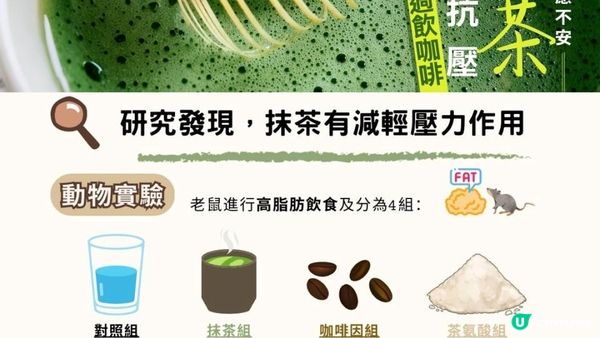 【#抹茶控】飲1杯 = 飲10杯 🍵 抗氧化完勝綠茶10倍
