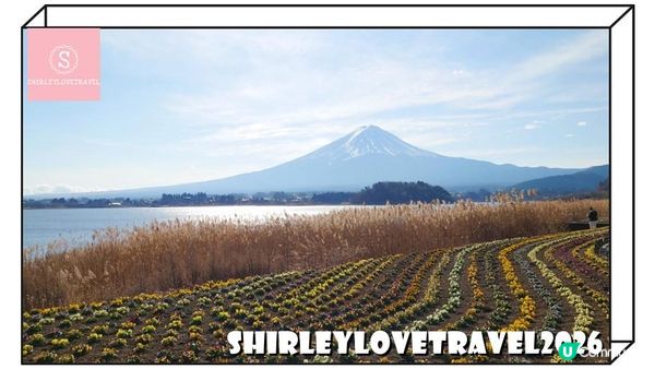 【日系情旅遊日本】房間欣賞富士山美景！2025年新酒店「富士山和河口湖和風鈴酒店」住宿體驗