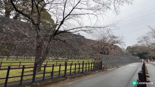 【九州自由行】背起背包出發！熊本電鐵、櫻之馬場市集與登上 6 層高天守閣