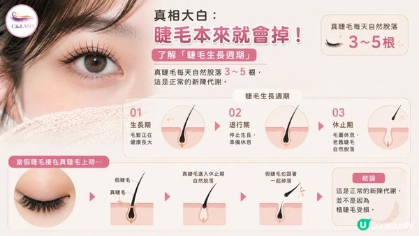 【美睫迷思】植睫毛會讓真睫毛掉光？美睫師坦言：這 3 個壞習慣才是元兇！