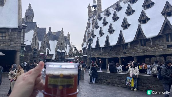 【大阪】大阪環球影城全攻略– 一文看清樂園交通、快速通關券、地圖設施、推薦行程和必玩景點！
