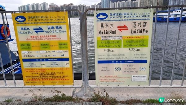 【荔枝窩至烏蛟騰行山篇】印洲塘郊遊徑、三椏村、苗三古道、迷椏走廊、上下苗田