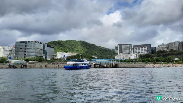 【荔枝窩至烏蛟騰行山篇】印洲塘郊遊徑、三椏村、苗三古道、迷椏走廊、上下苗田