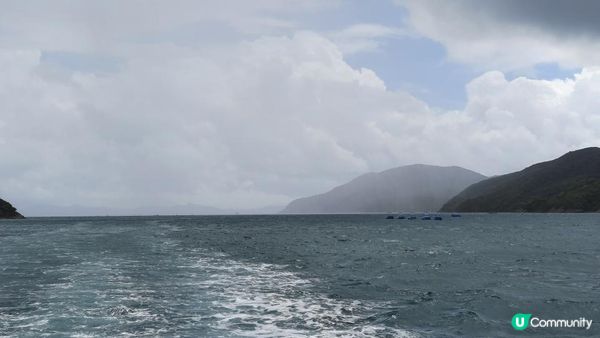 【荔枝窩至烏蛟騰行山篇】印洲塘郊遊徑、三椏村、苗三古道、迷椏走廊、上下苗田