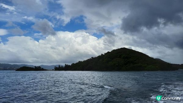 【荔枝窩至烏蛟騰行山篇】印洲塘郊遊徑、三椏村、苗三古道、迷椏走廊、上下苗田