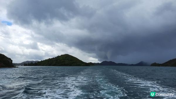 【荔枝窩至烏蛟騰行山篇】印洲塘郊遊徑、三椏村、苗三古道、迷椏走廊、上下苗田