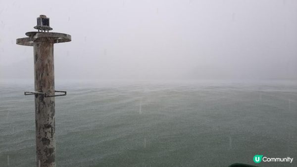 【荔枝窩至烏蛟騰行山篇】印洲塘郊遊徑、三椏村、苗三古道、迷椏走廊、上下苗田
