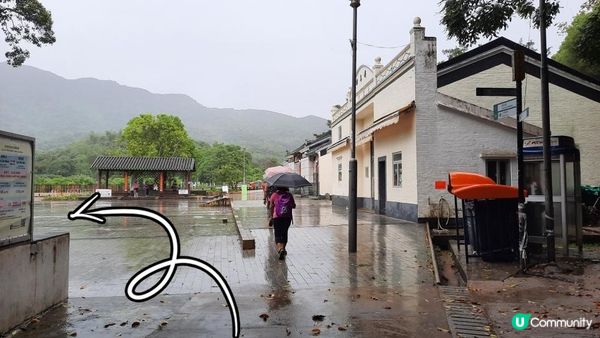 【荔枝窩至烏蛟騰行山篇】印洲塘郊遊徑、三椏村、苗三古道、迷椏走廊、上下苗田