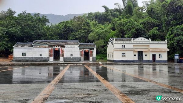 【荔枝窩至烏蛟騰行山篇】印洲塘郊遊徑、三椏村、苗三古道、迷椏走廊、上下苗田