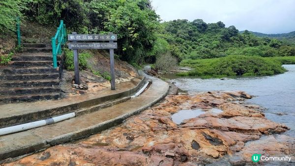 【荔枝窩至烏蛟騰行山篇】印洲塘郊遊徑、三椏村、苗三古道、迷椏走廊、上下苗田