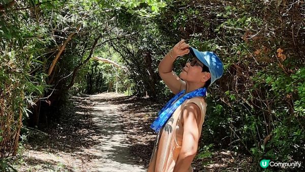 【赤柱行山篇】斜炮頂、犀牛石、國殤紀念墳、赤柱正灘、夏萍灣泳灘、機槍堡