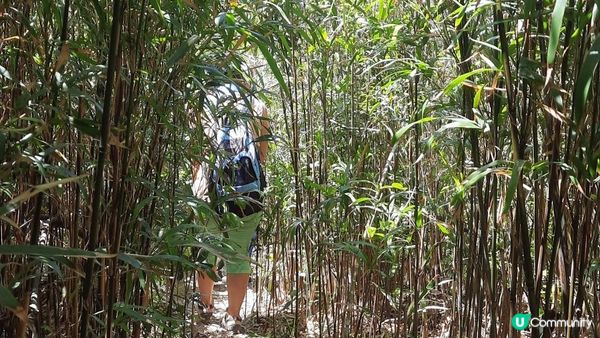 【赤柱行山篇】斜炮頂、犀牛石、國殤紀念墳、赤柱正灘、夏萍灣泳灘、機槍堡