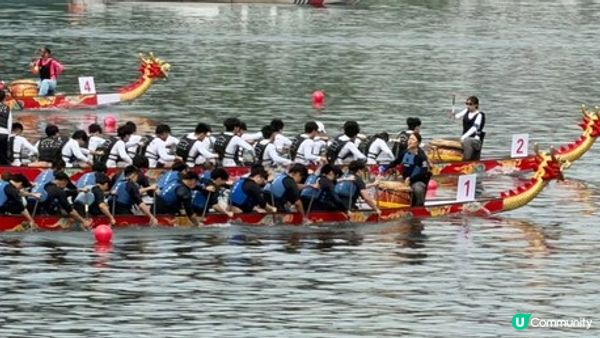 新華絲路：2026屈原故里端午文化節在宜昌開幕