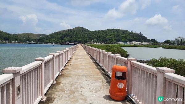 【大澳行山篇】鳳凰徑7段、水澇漕、二澳舊村、煎魚灣、象鼻岩、雞翼角