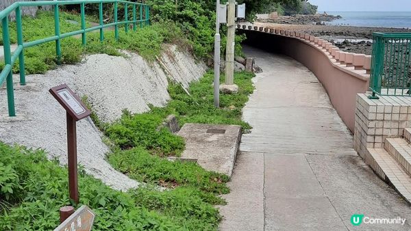 【大澳行山篇】鳳凰徑7段、水澇漕、二澳舊村、煎魚灣、象鼻岩、雞翼角