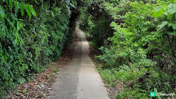 【大澳行山篇】鳳凰徑7段、水澇漕、二澳舊村、煎魚灣、象鼻岩、雞翼角