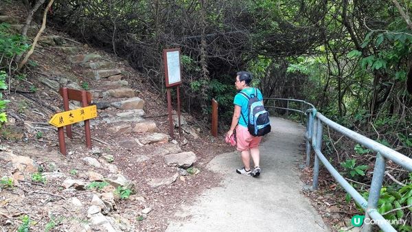 【大澳行山篇】鳳凰徑7段、水澇漕、二澳舊村、煎魚灣、象鼻岩、雞翼角