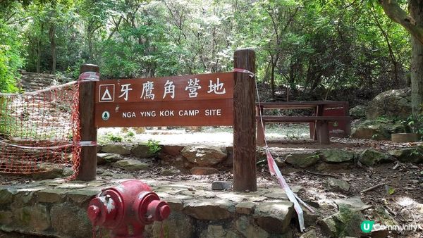 【大澳行山篇】鳳凰徑7段、水澇漕、二澳舊村、煎魚灣、象鼻岩、雞翼角