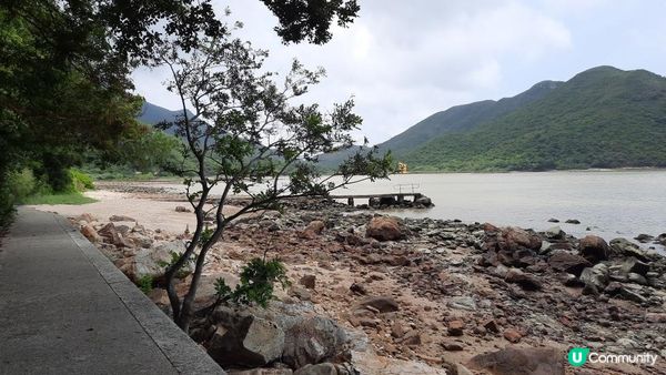 【大澳行山篇】鳳凰徑7段、水澇漕、二澳舊村、煎魚灣、象鼻岩、雞翼角