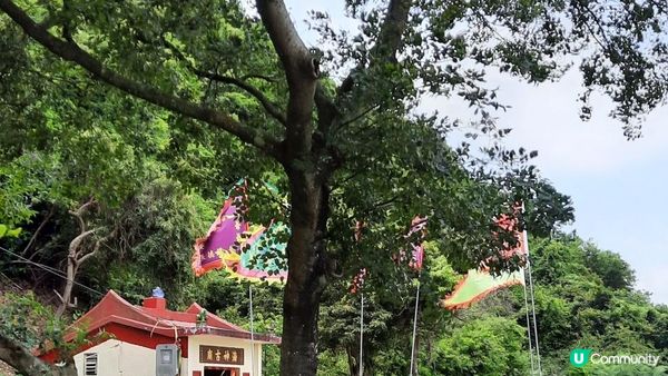 【大澳行山篇】鳳凰徑7段、水澇漕、二澳舊村、煎魚灣、象鼻岩、雞翼角