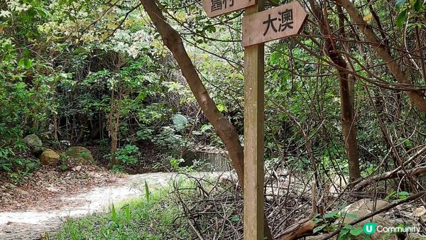 【大澳行山篇】鳳凰徑7段、水澇漕、二澳舊村、煎魚灣、象鼻岩、雞翼角