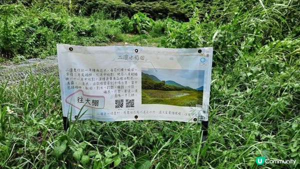 【大澳行山篇】鳳凰徑7段、水澇漕、二澳舊村、煎魚灣、象鼻岩、雞翼角