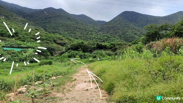 【大澳行山篇】鳳凰徑7段、水澇漕、二澳舊村、煎魚灣、象鼻岩、雞翼角
