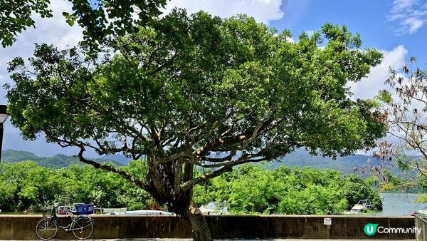 【沙頭角邊境禁區快閃遊👣】沙頭角海旁長廊、天后宮、公眾碼頭、沙頭角之角、火車站公園、中英街公園