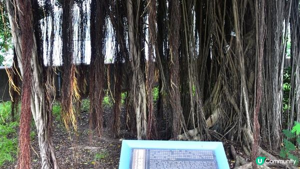 【沙頭角邊境禁區快閃遊👣】沙頭角海旁長廊、天后宮、公眾碼頭、沙頭角之角、火車站公園、中英街公園