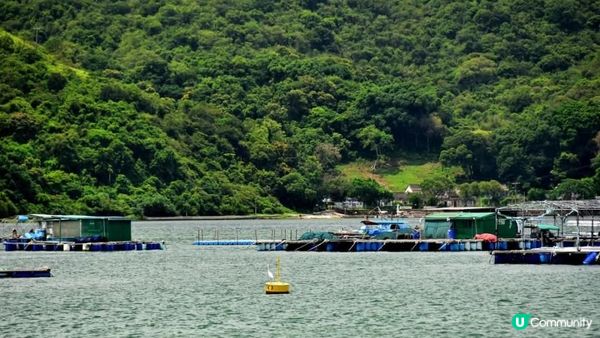 【沙頭角邊境禁區快閃遊👣】沙頭角海旁長廊、天后宮、公眾碼頭、沙頭角之角、火車站公園、中英街公園